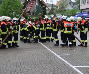 maibaum 2013