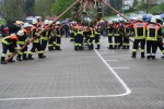 maibaum 2013