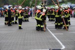 maibaum 2013