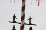 maibaum 2013