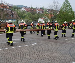 maibaum 2013