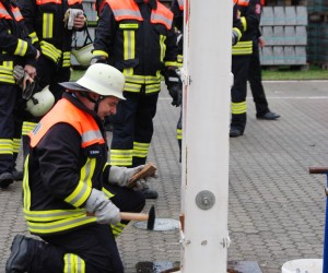 maibaum 2013