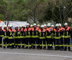 maibaum 2015   