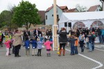 maibaum 2015   