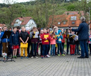 maibaum 2015   