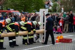maibaum 2015   