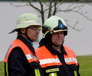 maibaum 2015   