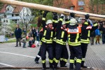 maibaum 2015   
