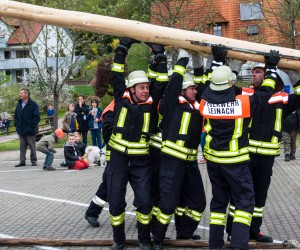 maibaum 2015   