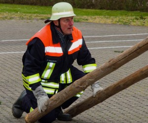 maibaum 2015   