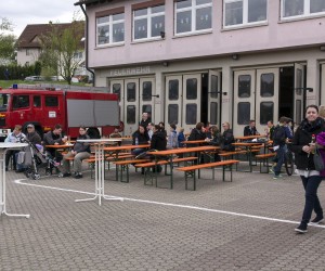 maibaum 2015