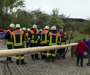 maibaum 2015