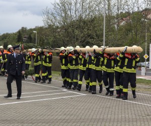 maibaum 2015