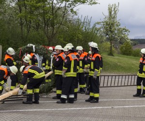 maibaum 2015