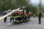 maibaum 2015
