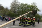 maibaum 2015