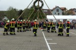 maibaum 2015