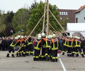 maibaum 2015