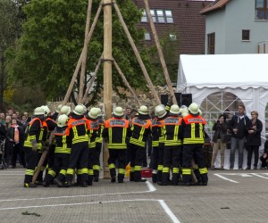 maibaum 2015