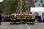 maibaum 2015