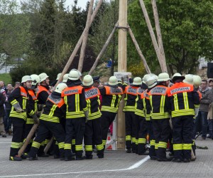 maibaum 2015