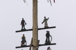 maibaum 2015