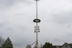 maibaum 2015