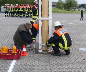 maibaum 2015