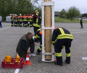 maibaum 2015