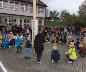 maibaum 2015
