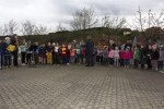 maibaum 2015