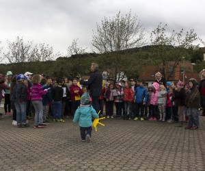 maibaum 2015