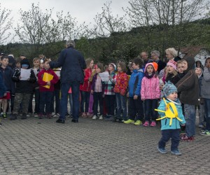 maibaum 2015