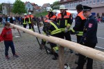 maibaum 2015