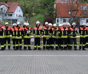 maibaum 2015