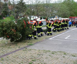 maibaum 2015