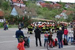 maibaum 2015