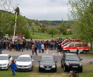 maibaum 2015
