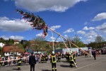 maibaum 300423