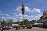 maibaum 300423