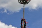 maibaum 300423